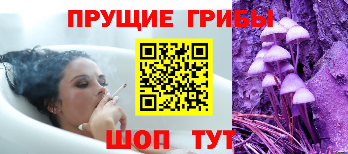 Псилоцибиновые грибы GOLDEN TEACHER  Галлюциногенные грибы GOLDEN TEACHER  Сатка  Вход с VPN 